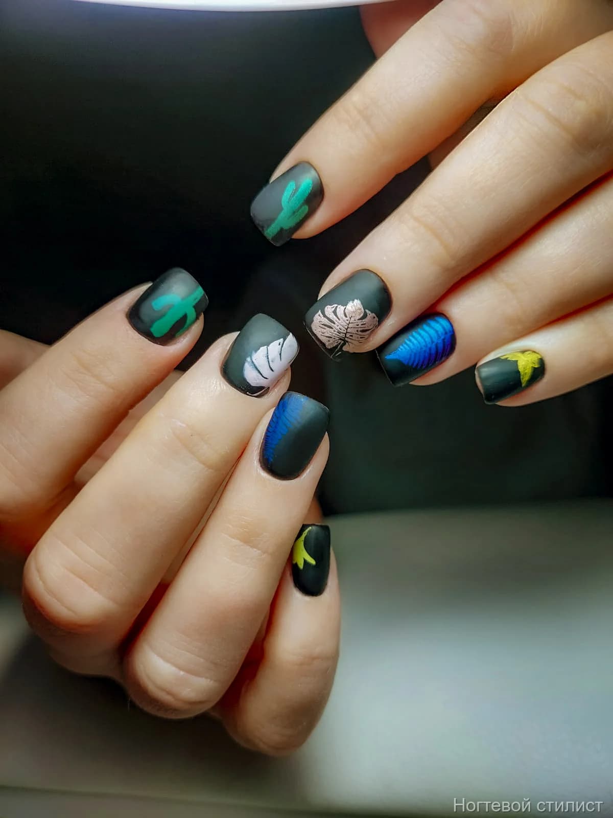 Кактус на черном