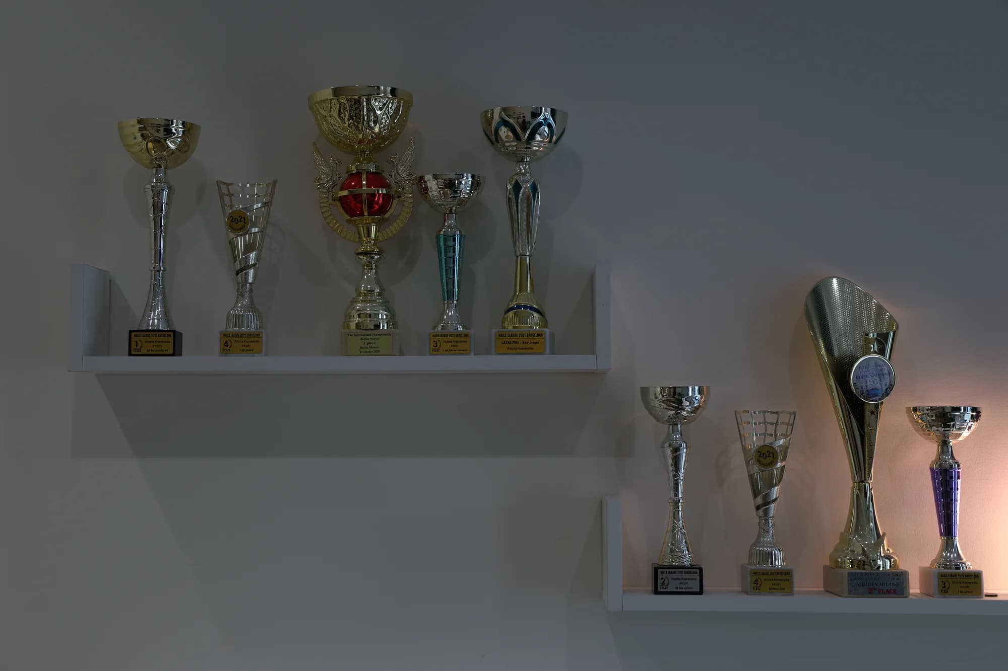 Награды и достижения