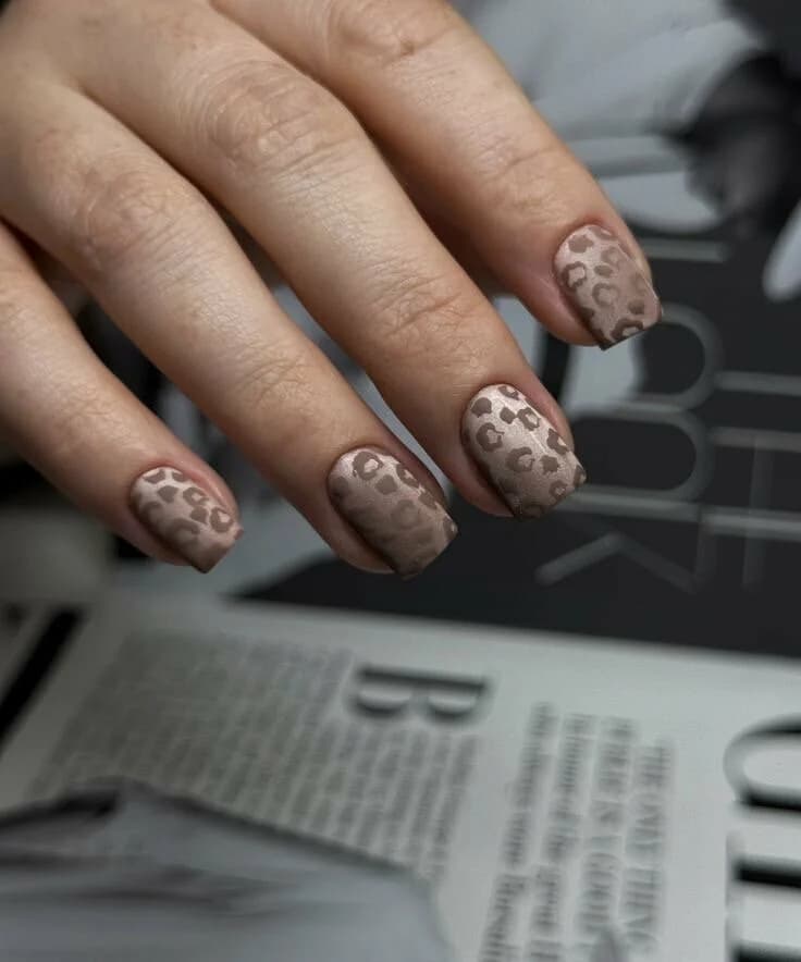 Леопард с кошачьим глазом