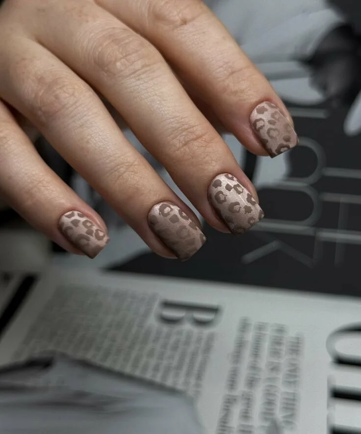 Леопард с кошачьим глазом